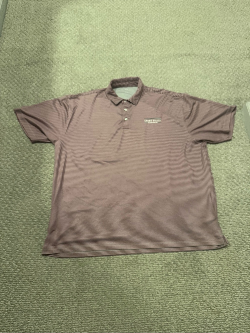 Men's Striped Polo Shirt in burgundy